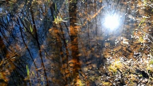 Фотоэксперимент 5.  Светофильтры.