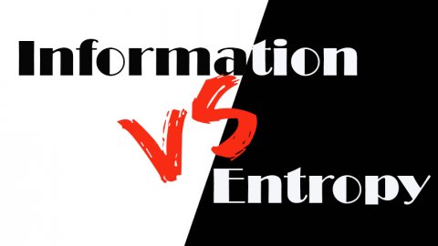 Информация против Энтропии.