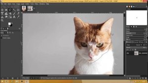 GIMP TUTORIAL -  Lasso Tool (2/10)