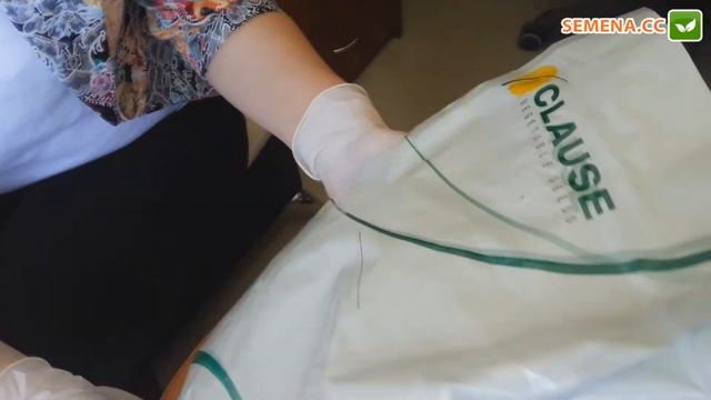 Антифейк свекла Нобол Clause смотреть онлайн