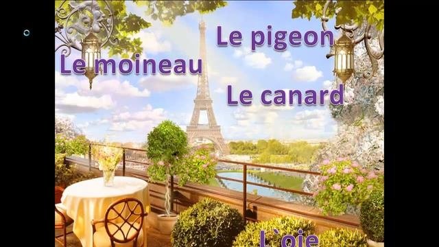 Французские слова.Французские слова с переводом.Французские слова для начинающих.Французский сленг.