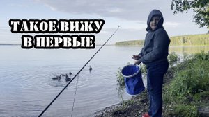 Такое я вижу в первый раз! Рыбалка на Синаре