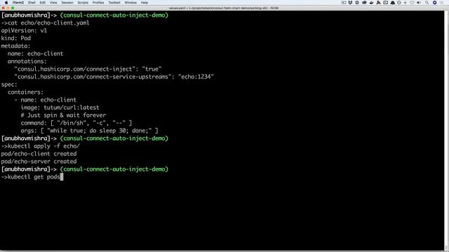 Showcasing Automatic Consul Connect Sidecar in Kubernetes смотреть онлайн