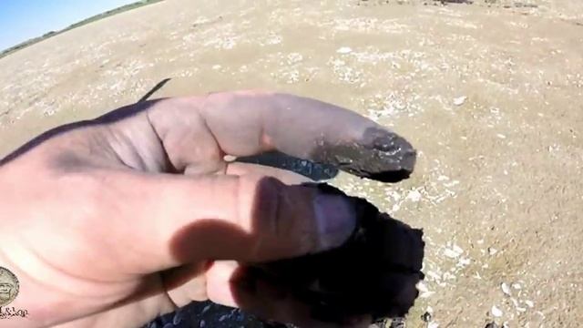 КОП берег Цимлянского водохранилища