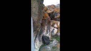 Клинописная наскальная надпись 720 год до рождество Христа село Цовинар