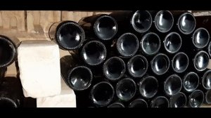 Хранение лозы и вина