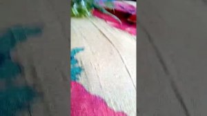 Какую траву можно давать морским свинкам / Часть 2