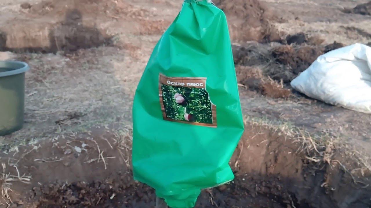 Посадка саженцев. Из города в село смотреть онлайн