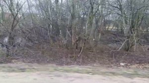 Наталья Губарева☝️Жди😀Мы едим к тебе🔥Долгий путь к цивилизации,красота Литвы😁👍