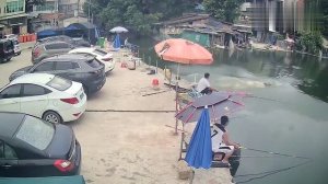 Теперь это морская корова