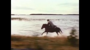 Серебряный князь,Федор Басманов-No love.Russian film