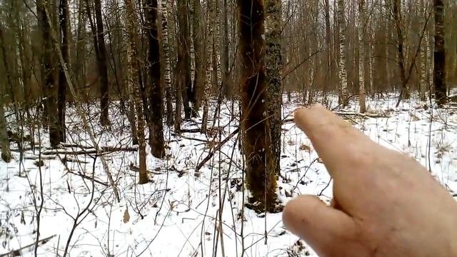 Загонная охота на копытных.