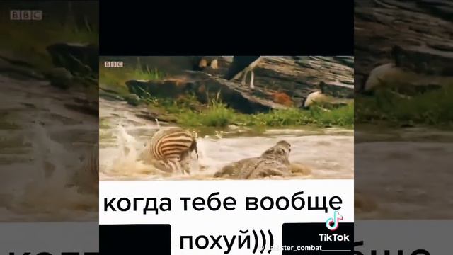 Смешнявка смотреть онлайн