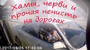 Хамы, черви и прочая нечисть на дорогах