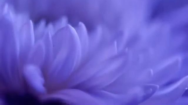 ГАРМОНИЯ ДУШИ …. Релакс и медитация ….. смотреть онлайн