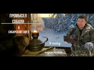 В тайгу с подписчиком! Проверка капканов на соболя в сибирской тайге.
