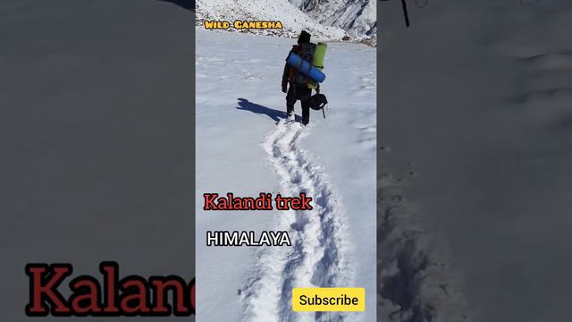 Trek in Himalaya...