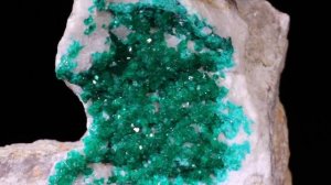 Tsumeb Dioptase on Matrix Mineral Specimen