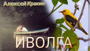 Очень душевная песня ИВОЛГА #алексейкракин #дворовыепесни