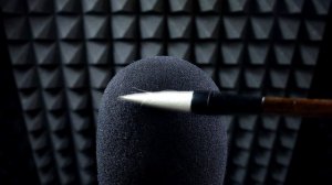 ASMR Brushing Microphone
