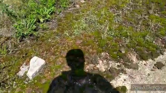 ОБЗОР ВЛАДЕНИЙ БАШИНКОМА.БУДЕМ ЗАВОДИТЬ КОРОВ,СВИНЕЙ И КУР смотреть онлайн