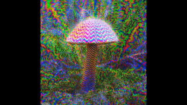 грибная сказка смотреть онлайн