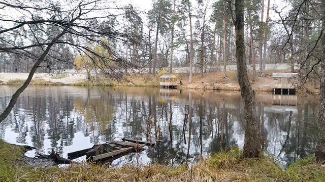 Зона отдыха "Перлына" в Пуще-Водице смотреть онлайн