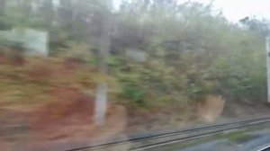 Как найти свой поезд и колею на Пражском вокзале