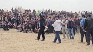 Гуштин 2024 / Гуштини Калон дар Точикистон 2024 н. Шахритус