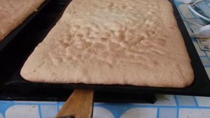 Бисквитные коржи для торта выпекал 18 минут.