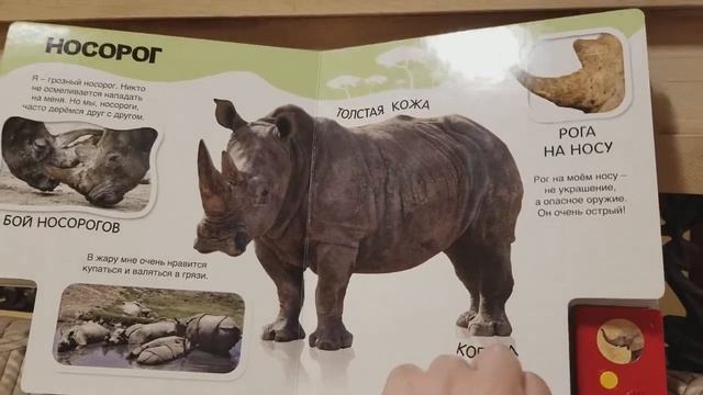 Про слона-великана и не только говорящая энциклопеди я охраняю детей смотреть онлайн