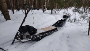 Втроём на снегокате по лесу