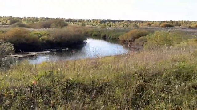 Вездеход с двигателем Хонда д17а испытание на воде смотреть онлайн