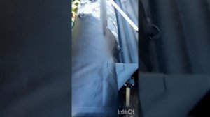 Обзор лодки Хантер 350 ПРО.