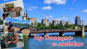 Из Донецка с любовью: Набережная, цены на продукты и хвостатые обитатели приюта «Кошкин дом»