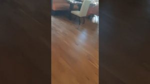 Маленький обзор отеля в Дубай Марине Signature hotel apartments & spa Marina