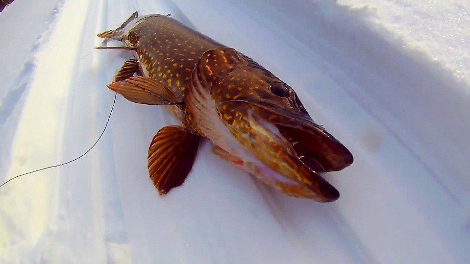 Рыбалка февраль 2018 лучшие моменты.mp4