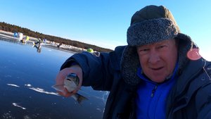 Как ловить корюшку на махалки.