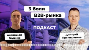 3 боли B2B-рынка. Дмитрий Прянишников