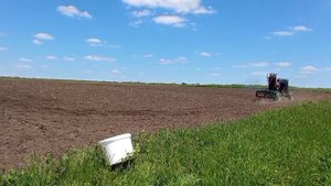 посеял и закатал суданку мотоблоком 10,05.21.