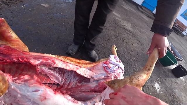 Тест кованого ножаTereh kuznia 9 хс смотреть онлайн