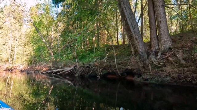 Сплав по реке Ловать, первый день 13.05.2023, от деревни Сафроново до деревни Комша, 37 км. смотреть онлайн