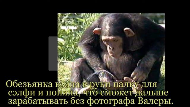 Перекур! Классные анекдоты 1