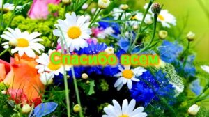 ?дошкольный бал ты всех друзей собрал ?