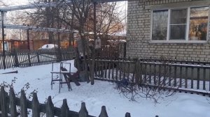 Кормление птиц. Как зовут синичек, которые прилетают к нам в кормушку.