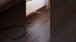 кивок из стяжки хомута