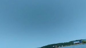 Сарган Владивосток июнь 2022
