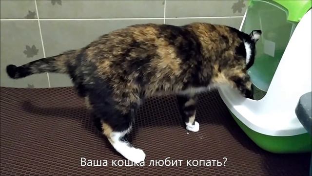 Коврик для лотка и миски Animal Mobile смотреть онлайн