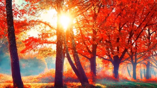 Прощание с осенью. РАСКРАСИТ ОСЕНЬ КАПЕЛЬ ПЕРЛАМУТРОМ. Мелодия А Обидина. смотреть онлайн