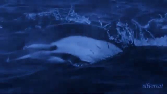 Sea, Waves -Море, волны ( Secret Serviсe- Aux Deux Magots)